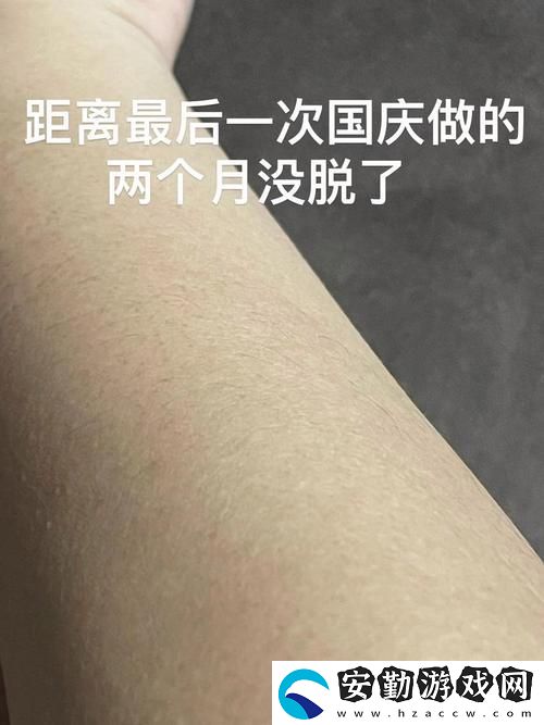 AAAA級(jí)毛和AAAA的區(qū)別
