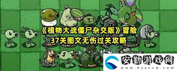 植物大戰(zhàn)僵尸雜交版冒險(xiǎn)37關(guān)怎么清理墓碑