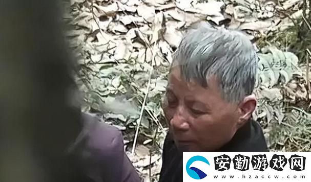 探索“公園里的老年鏢客視頻人生”
