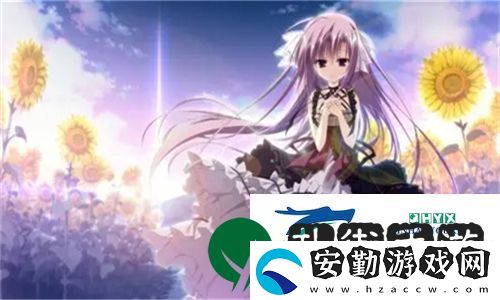 成品視頻crm999的全面解析與應(yīng)用