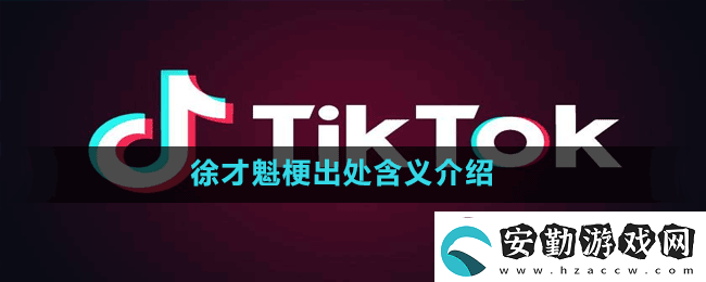 徐才魁是什么梗