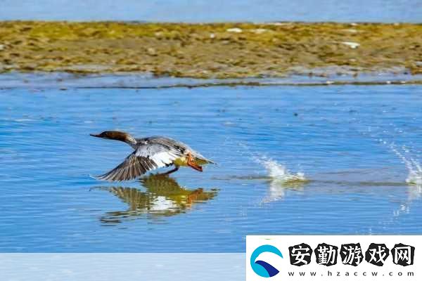 大地資源免費視頻觀看