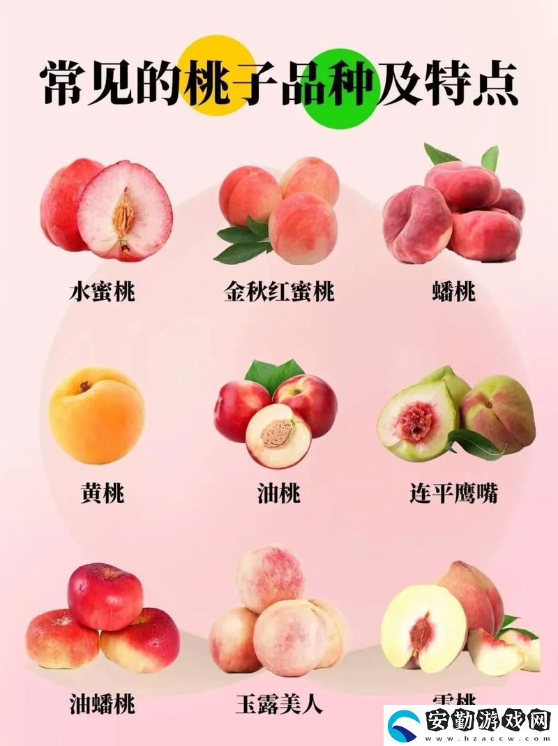 沁人心脾的水蜜桃2最經(jīng)典的一句
