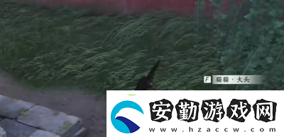 燕云十六聲貓貓大頭位置在哪里