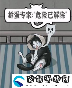 瘋狂爆梗王寵物醫(yī)院通關(guān)攻略