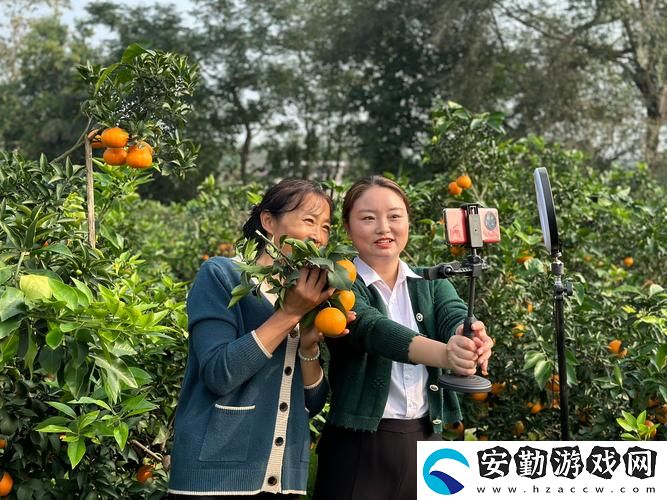 探索金桔直播的魅力與潛力