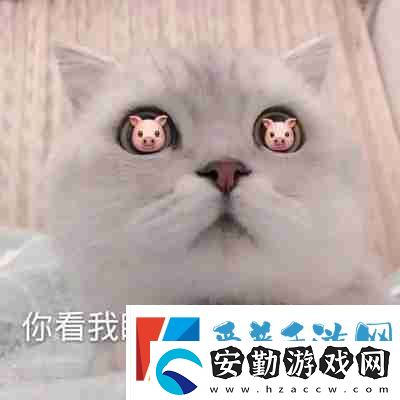 兜風(fēng)嗎妹妹表情包