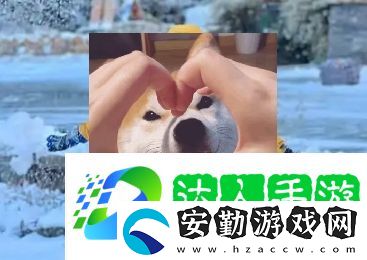 南方沙糖桔是什么梗網(wǎng)絡(luò)用語(yǔ)