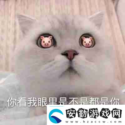 兜風(fēng)嗎妹妹表情包