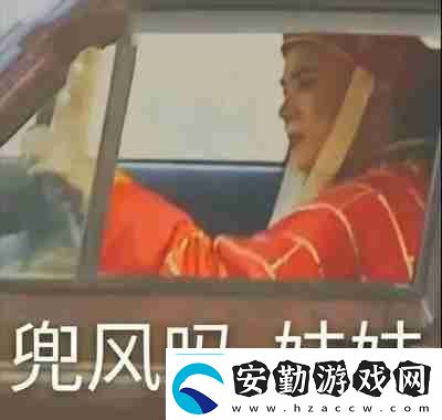 兜風(fēng)嗎妹妹表情包