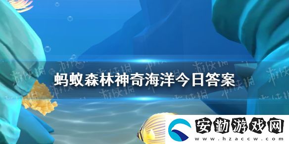 尖嘴海豚是以下哪種海豚的俗稱