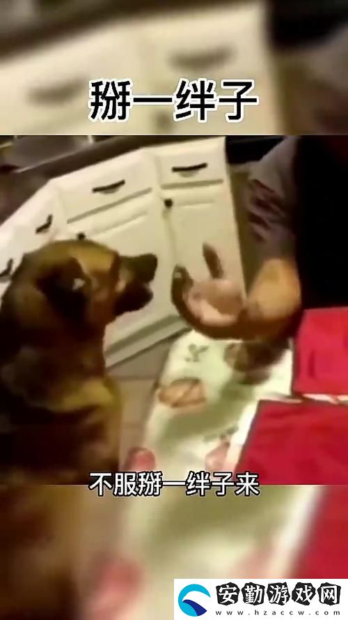 人狗大戰(zhàn)2高清正版免費(fèi)
