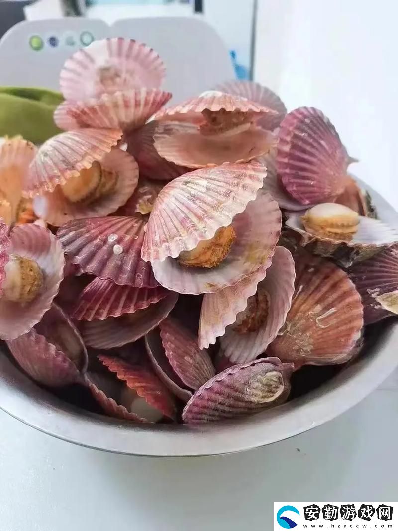 小東西你的扇貝都開(kāi)張了