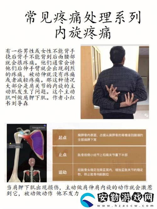 豐富多樣的疼痛之輪12疼痛