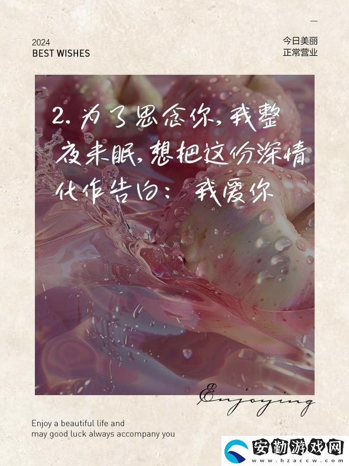 迷人的夜晚之夢