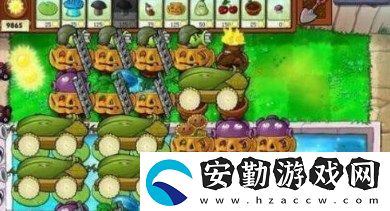植物大戰(zhàn)僵尸無盡模式最佳陣容怎么搭配