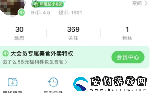 年度小會員是什么