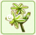 小森生活止風(fēng)草位置介紹