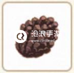 小森生活松果位置介紹