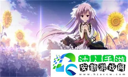 在線高清mv無字幕視頻素材