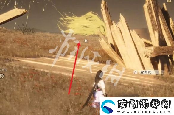 燕云十六聲金沙川寶箱在哪