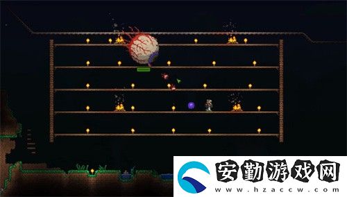 泰拉瑞亞篝火有什么用